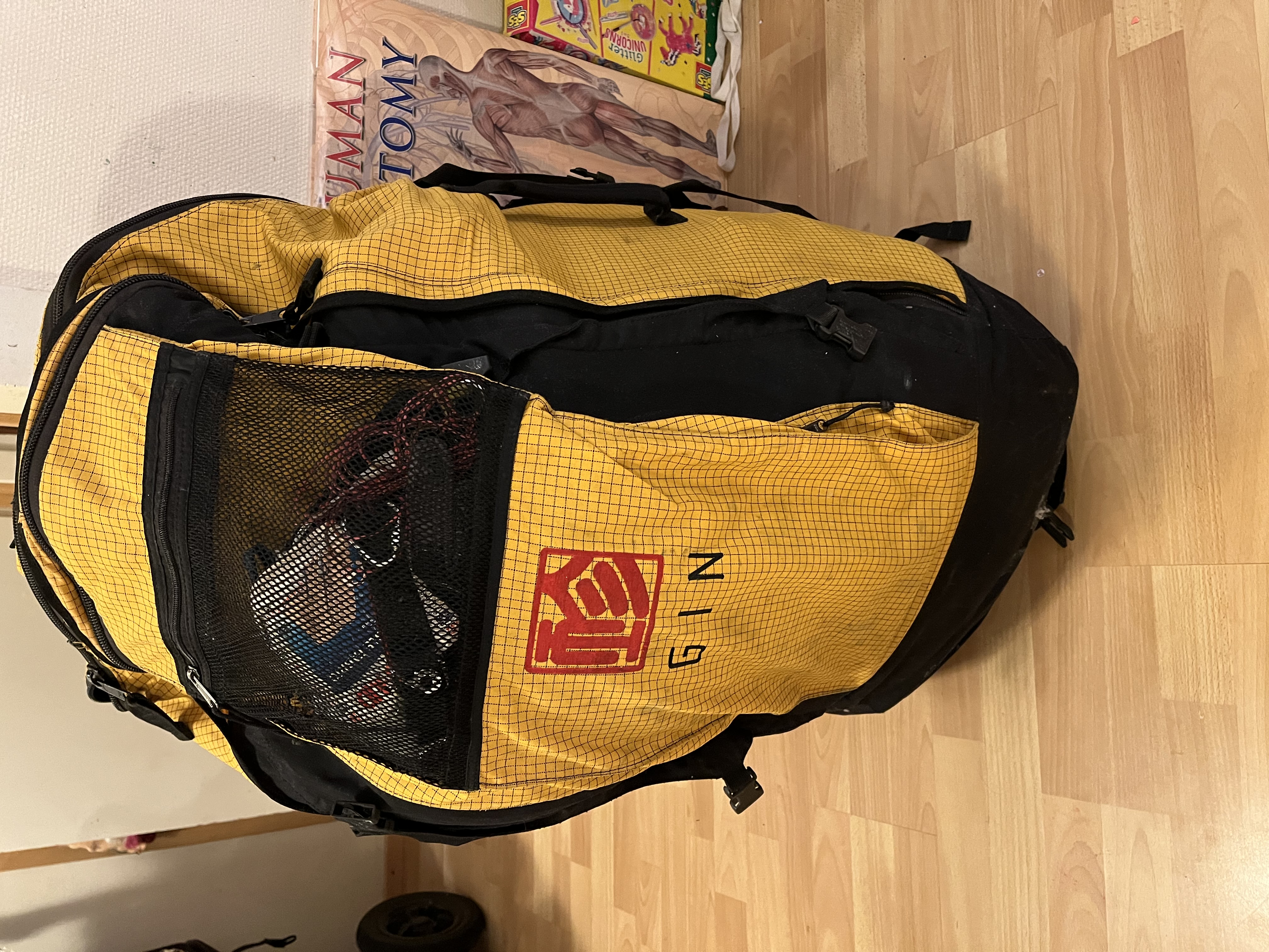 Gin rucksack with wing, harness and reserve inside