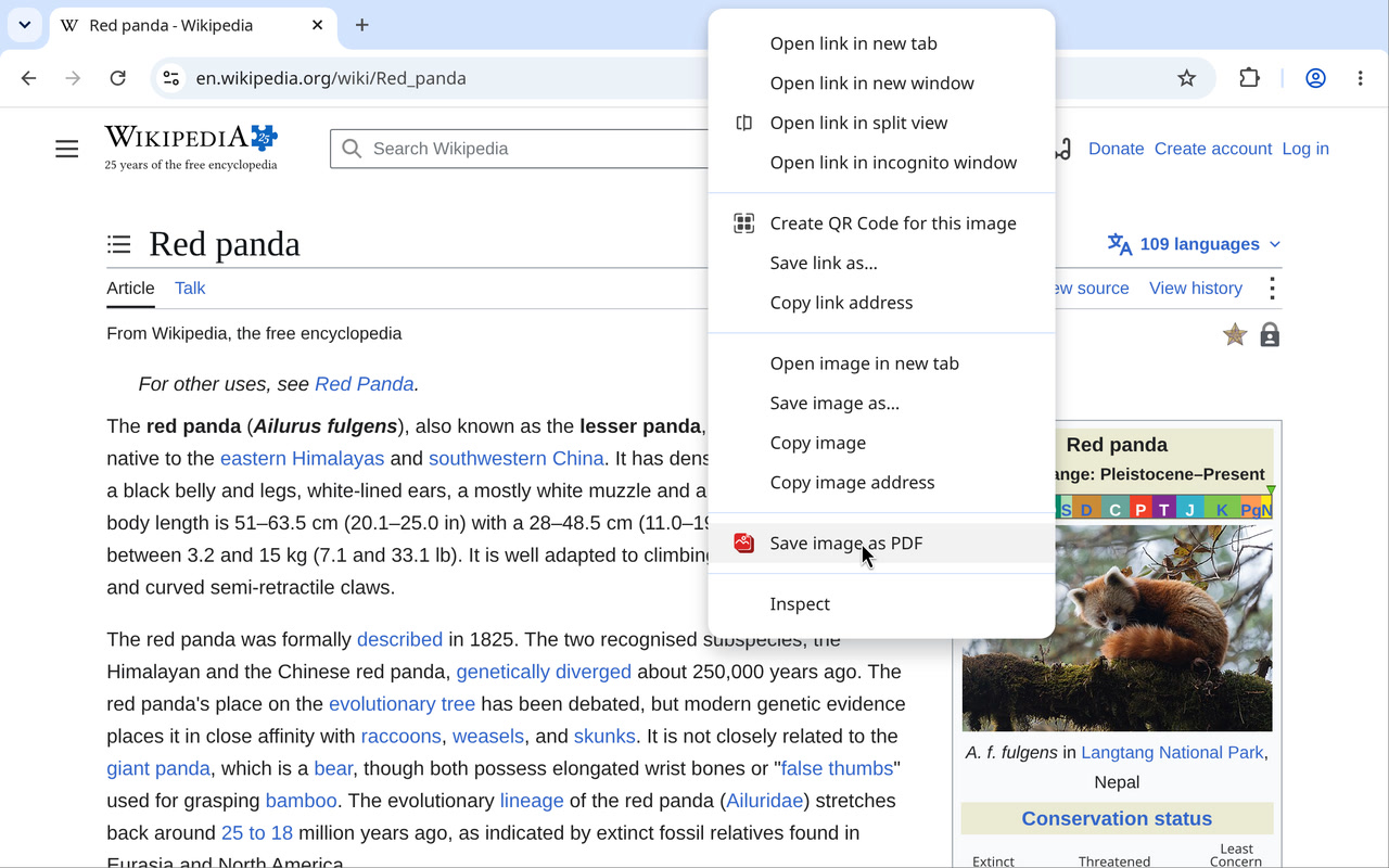 Правый клик по картинке, пункт Save image as PDF