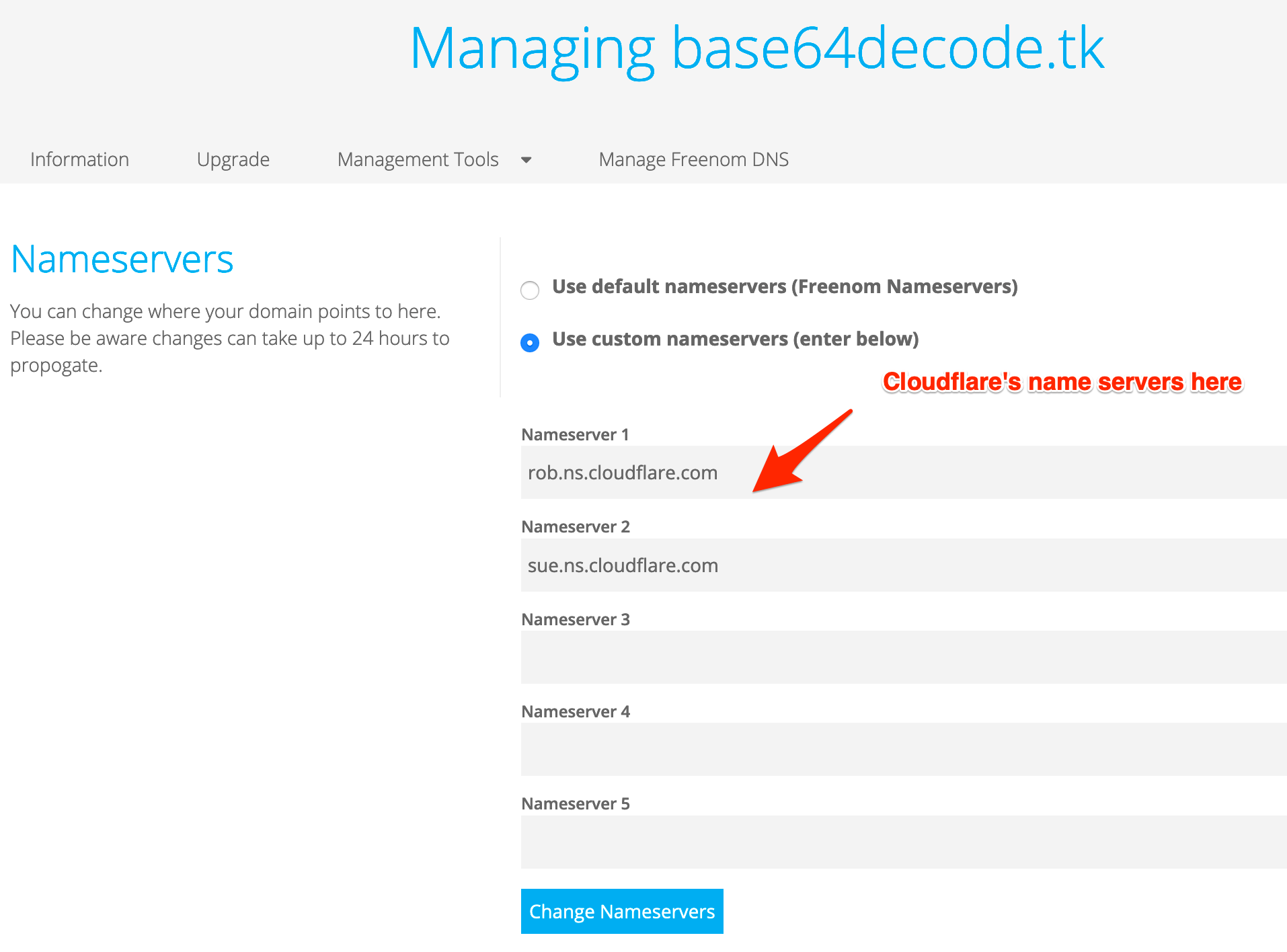 Cloudflare name servers in freenom DNS settings