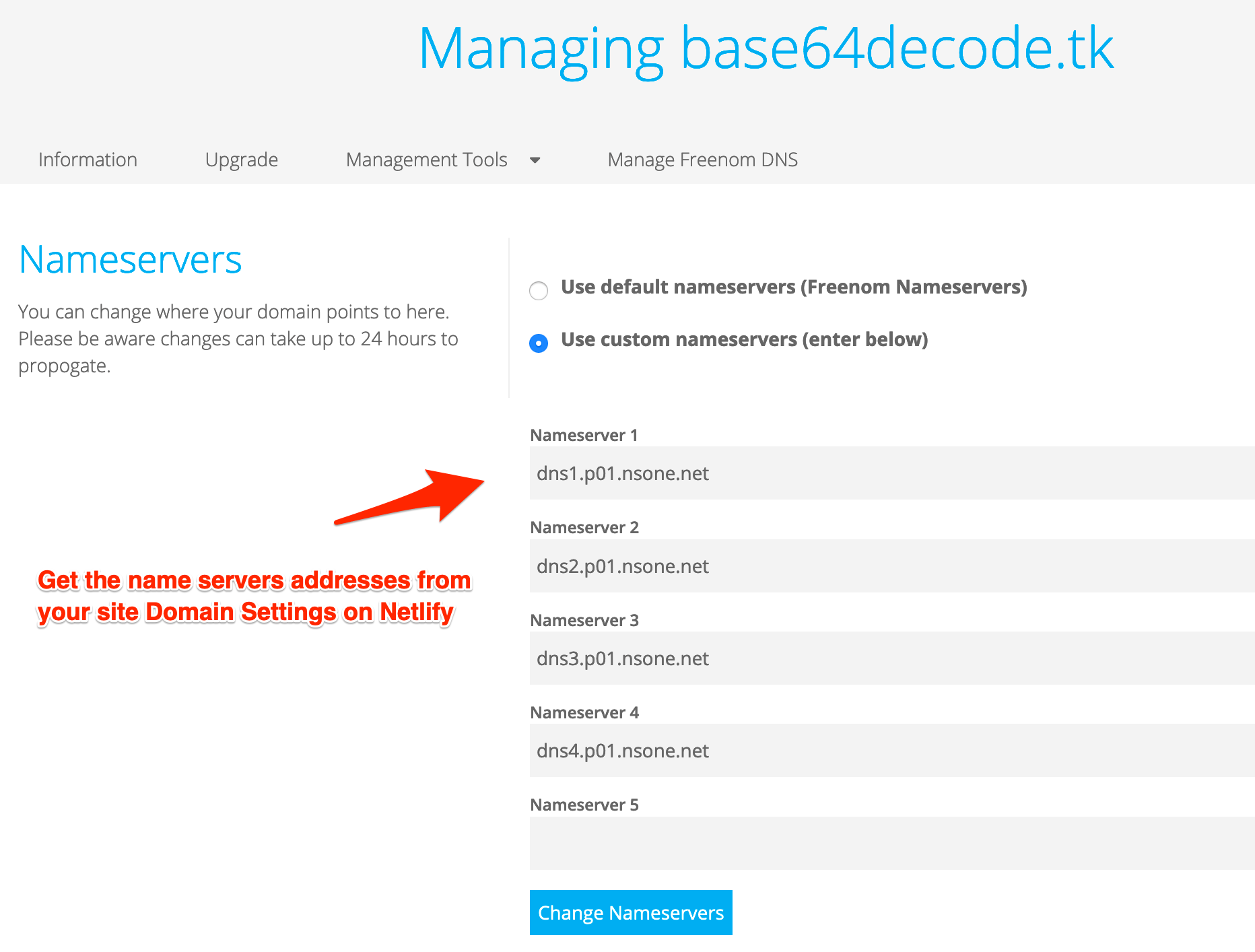 Netlify name servers in freenom registrar settings